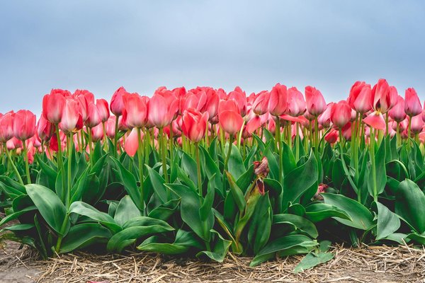 L'impact d'une piscine en béton sur la valeur de votre maison
